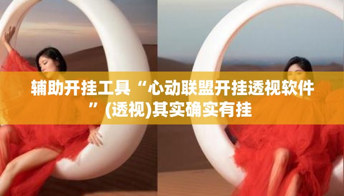 辅助开挂工具“心动联盟开挂透视软件”(透视)其实确实有挂 