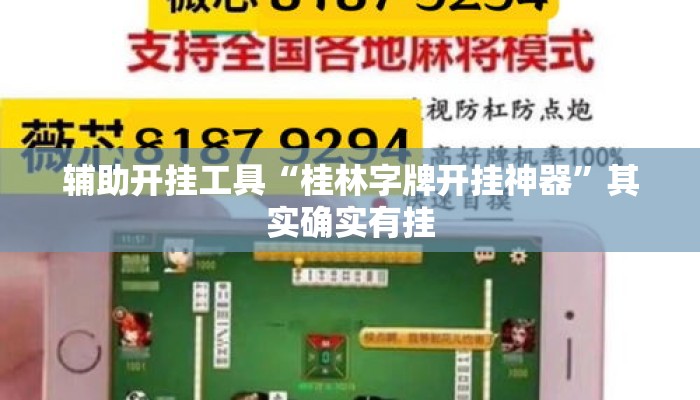 辅助开挂工具“桂林字牌开挂神器	”其实确实有挂