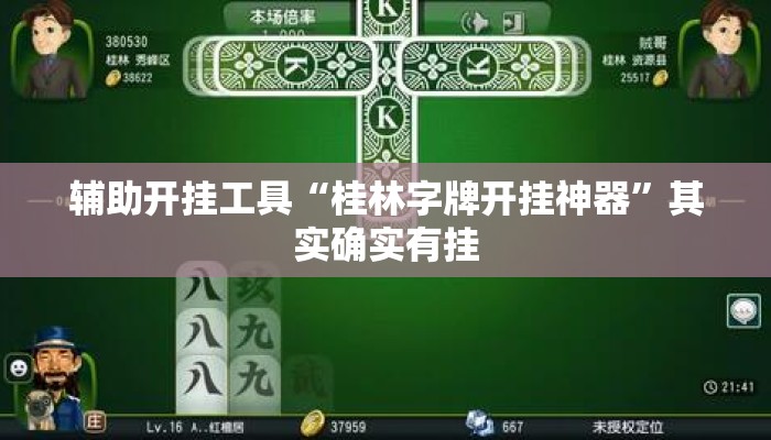 辅助开挂工具“桂林字牌开挂神器”其实确实有挂