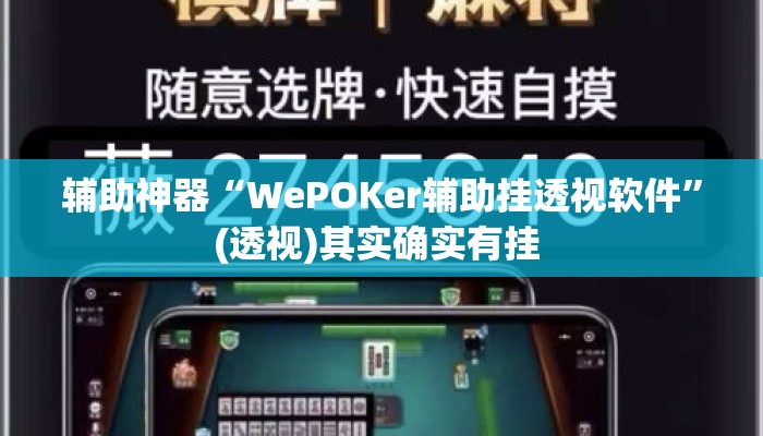 辅助神器“WePOKer辅助挂透视软件”(透视)其实确实有挂 