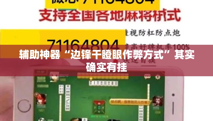 辅助神器“边锋干瞪眼作弊方式”其实确实有挂
