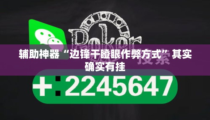 辅助神器“边锋干瞪眼作弊方式”其实确实有挂