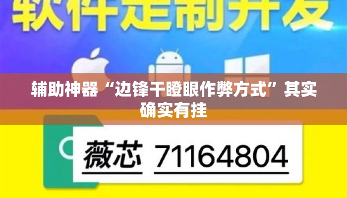 辅助神器“边锋干瞪眼作弊方式”其实确实有挂