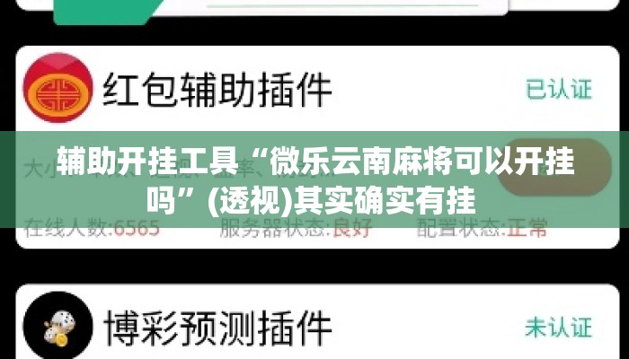辅助开挂工具“微乐云南麻将可以开挂吗	”(透视)其实确实有挂 