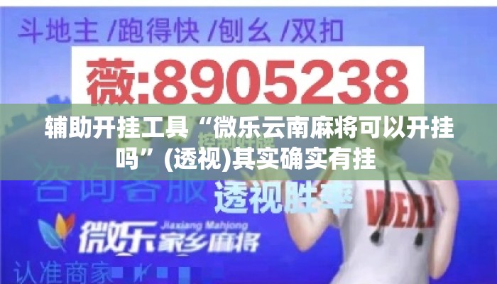 辅助开挂工具“微乐云南麻将可以开挂吗”(透视)其实确实有挂 