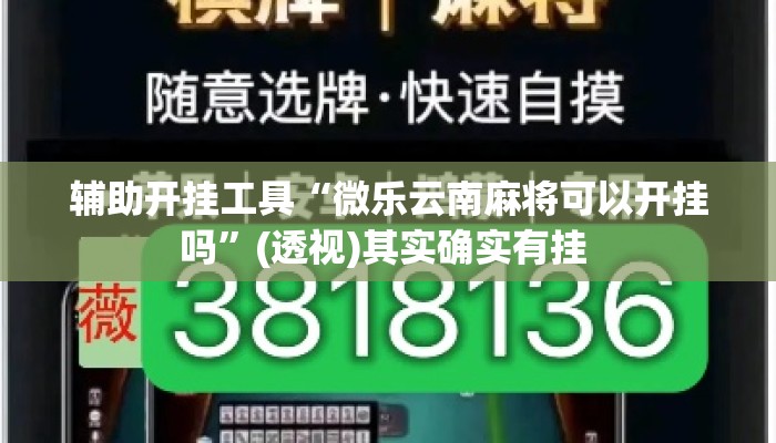 辅助开挂工具“微乐云南麻将可以开挂吗	”(透视)其实确实有挂 