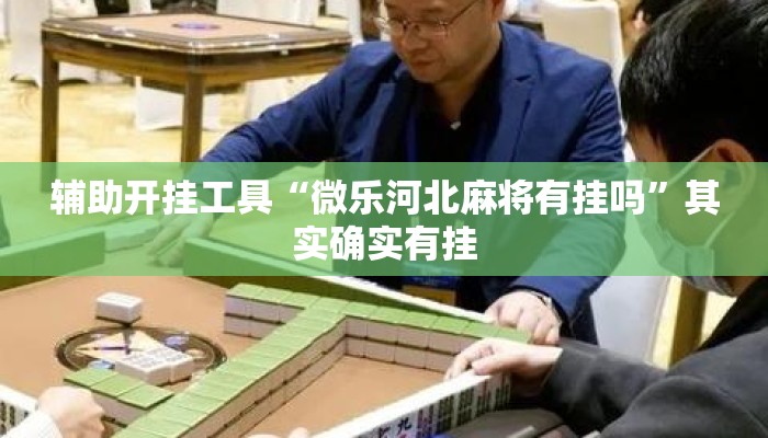 辅助开挂工具“微乐河北麻将有挂吗	”其实确实有挂