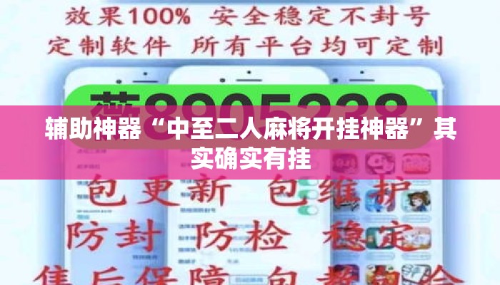 辅助神器“中至二人麻将开挂神器	”其实确实有挂