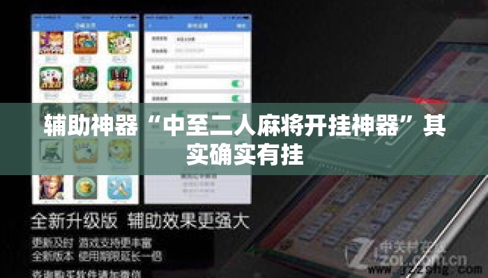 辅助神器“中至二人麻将开挂神器”其实确实有挂