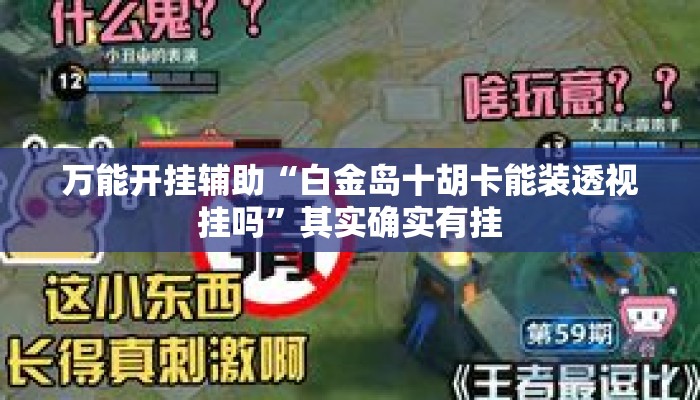 万能开挂辅助“白金岛十胡卡能装透视挂吗”其实确实有挂