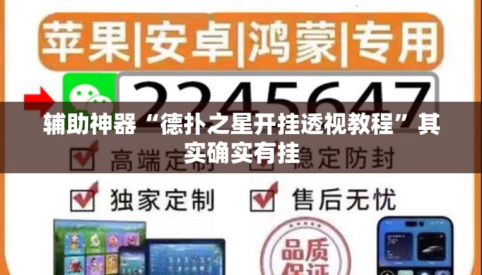 辅助神器“德扑之星开挂透视教程”其实确实有挂