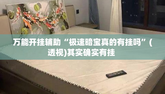 万能开挂辅助“极速暗宝真的有挂吗	”(透视)其实确实有挂 
