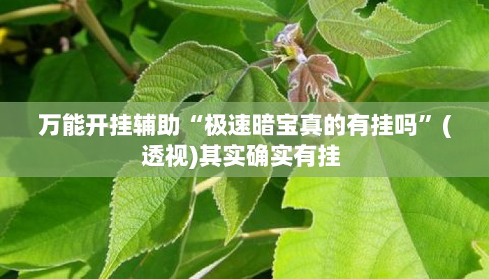 万能开挂辅助“极速暗宝真的有挂吗”(透视)其实确实有挂 