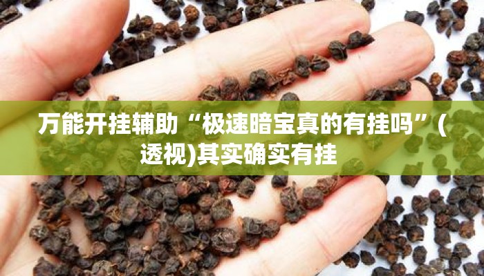 万能开挂辅助“极速暗宝真的有挂吗”(透视)其实确实有挂 