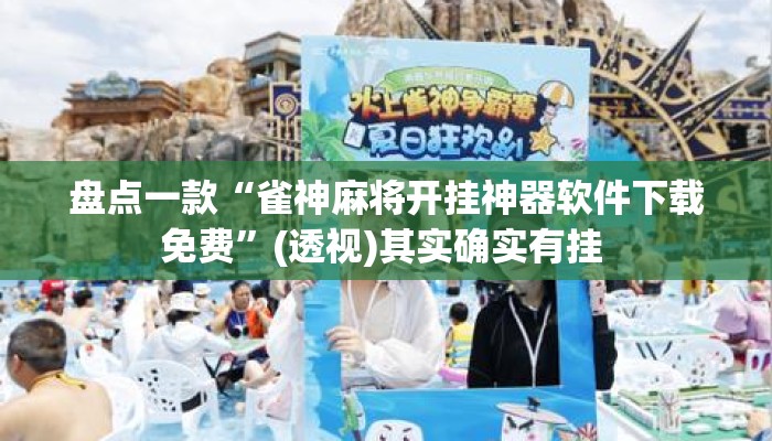 辅助神器“老板互娱辅助软件下载”其实确实有挂