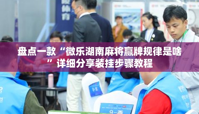 盘点一款“微乐湖南麻将赢牌规律是啥”详细分享装挂步骤教程