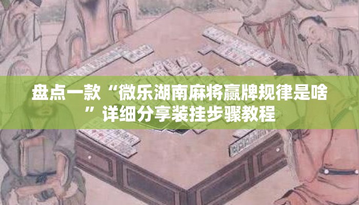 盘点一款“微乐湖南麻将赢牌规律是啥”详细分享装挂步骤教程