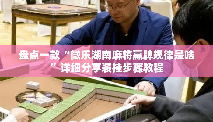 盘点一款“微乐湖南麻将赢牌规律是啥	”详细分享装挂步骤教程