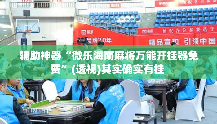辅助神器“微乐海南麻将万能开挂器免费	”(透视)其实确实有挂 