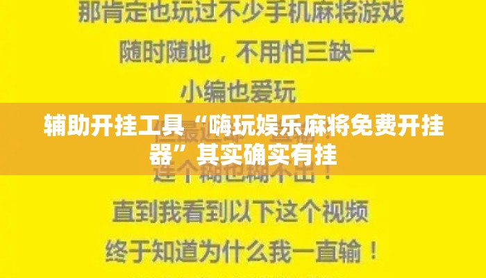 辅助开挂工具“嗨玩娱乐麻将免费开挂器”其实确实有挂