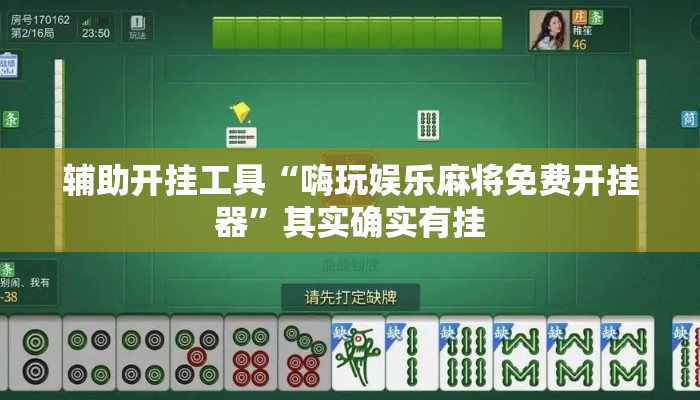 辅助开挂工具“嗨玩娱乐麻将免费开挂器”其实确实有挂