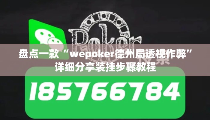 盘点一款“wepoker德州局透视作弊”详细分享装挂步骤教程