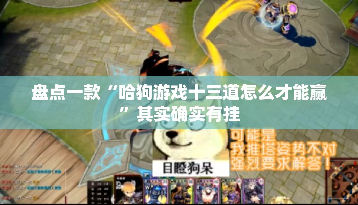 盘点一款“哈狗游戏十三道怎么才能赢”其实确实有挂