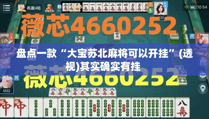 盘点一款“大宝苏北麻将可以开挂	”(透视)其实确实有挂 