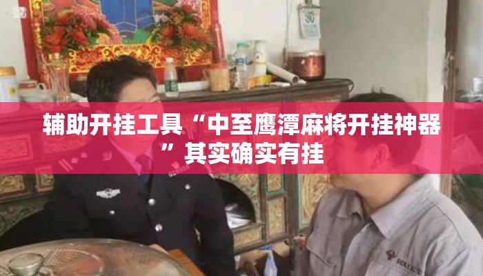 辅助开挂工具“中至鹰潭麻将开挂神器”其实确实有挂