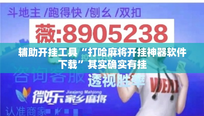 辅助开挂工具“打哈麻将开挂神器软件下载”其实确实有挂