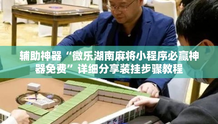 辅助神器“微乐湖南麻将小程序必赢神器免费”详细分享装挂步骤教程