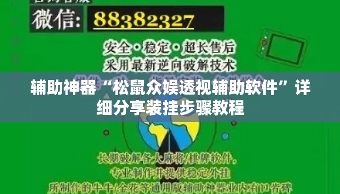 辅助神器“松鼠众娱透视辅助软件”详细分享装挂步骤教程