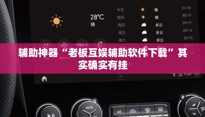 辅助神器“老板互娱辅助软件下载”其实确实有挂
