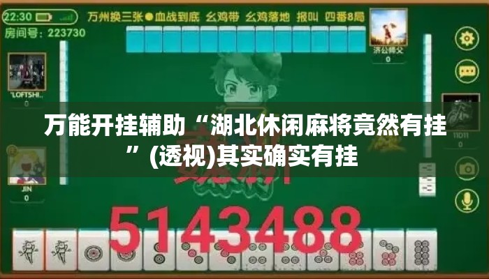 万能开挂辅助“湖北休闲麻将竟然有挂”(透视)其实确实有挂 