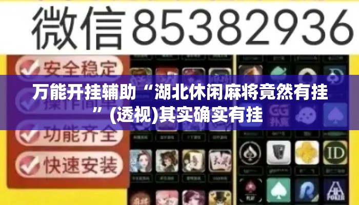 万能开挂辅助“湖北休闲麻将竟然有挂”(透视)其实确实有挂 