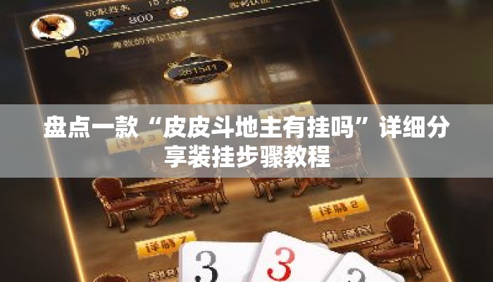 盘点一款“皮皮斗地主有挂吗”详细分享装挂步骤教程