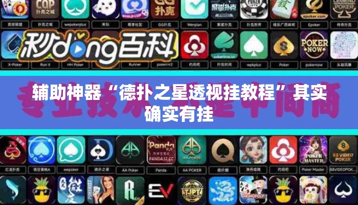 辅助神器“德扑之星透视挂教程”其实确实有挂