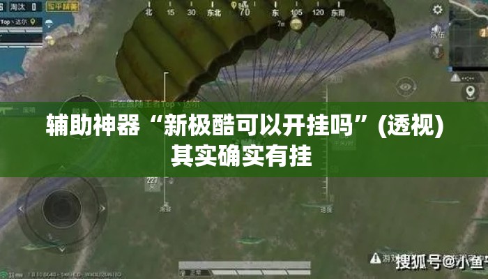 辅助神器“新极酷可以开挂吗”(透视)其实确实有挂 