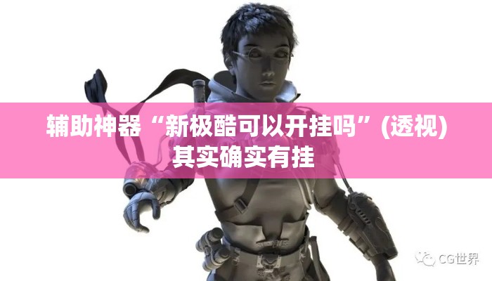 辅助神器“新极酷可以开挂吗”(透视)其实确实有挂 