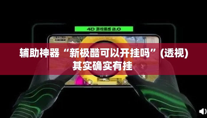 辅助神器“新极酷可以开挂吗	”(透视)其实确实有挂 
