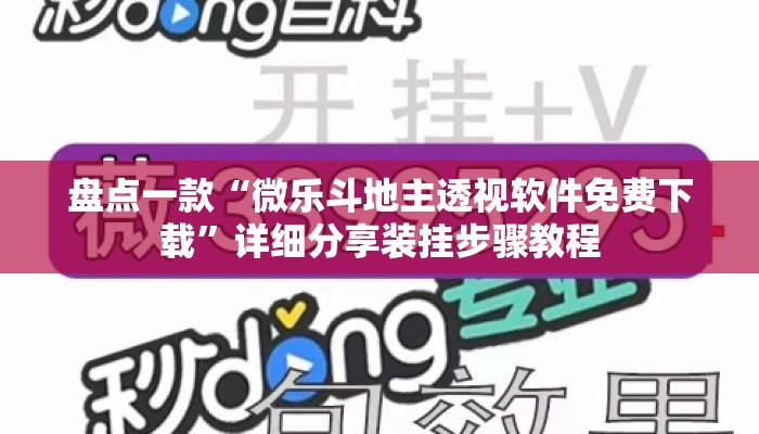 盘点一款“微乐斗地主透视软件免费下载”详细分享装挂步骤教程