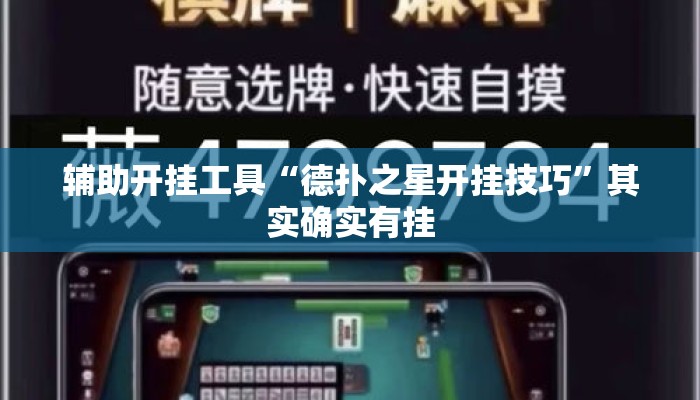 辅助开挂工具“德扑之星开挂技巧”其实确实有挂