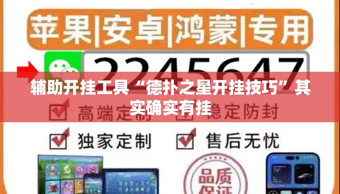 辅助开挂工具“德扑之星开挂技巧”其实确实有挂