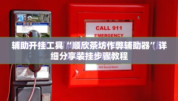 辅助开挂工具“顺欣茶坊作弊辅助器”详细分享装挂步骤教程