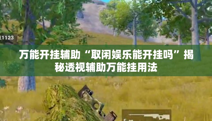 万能开挂辅助“取闲娱乐能开挂吗	”揭秘透视辅助万能挂用法