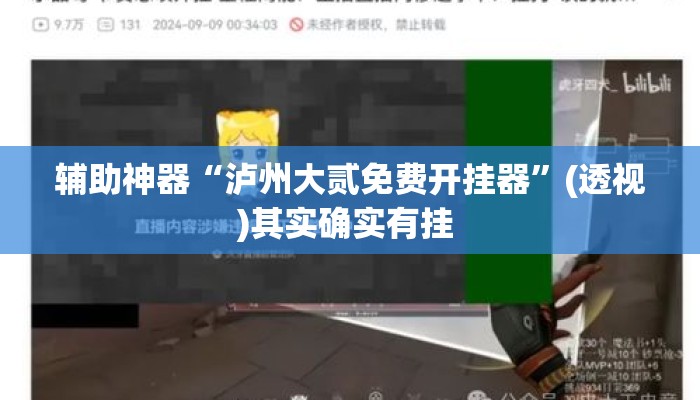 辅助神器“泸州大贰免费开挂器	”(透视)其实确实有挂 