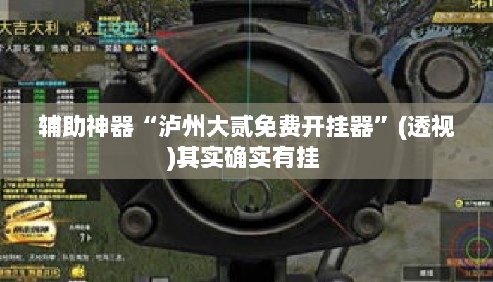 辅助神器“泸州大贰免费开挂器”(透视)其实确实有挂 
