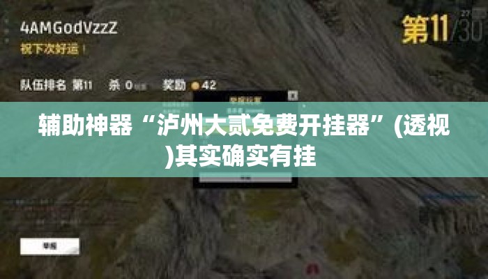 辅助神器“泸州大贰免费开挂器	”(透视)其实确实有挂 