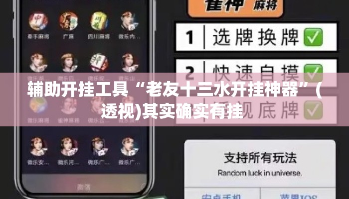 辅助开挂工具“老友十三水开挂神器	”(透视)其实确实有挂 