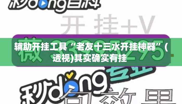 辅助开挂工具“老友十三水开挂神器”(透视)其实确实有挂 